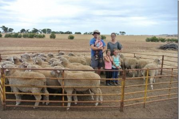 Third WAMMCO Win For Bunkin Lambs image
