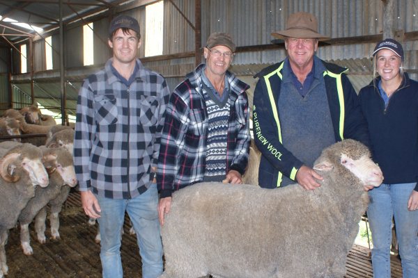 ASBV SYSTEM LIFTS APPROVAL FOR DUAL PURPOSE MERINOS image