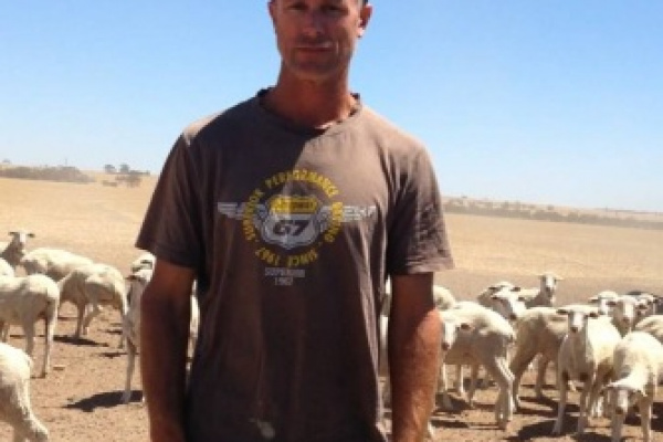 Dowerin SAMM Crossbred Lambs Win January Award image